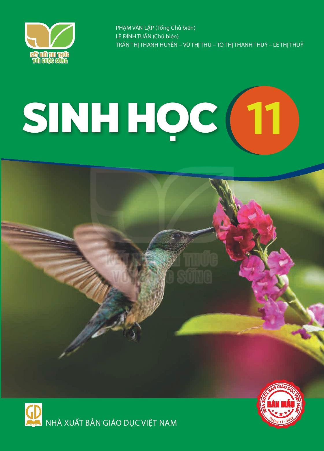 Download SGK Sinh học 11 - Kết Nối Tri Thức