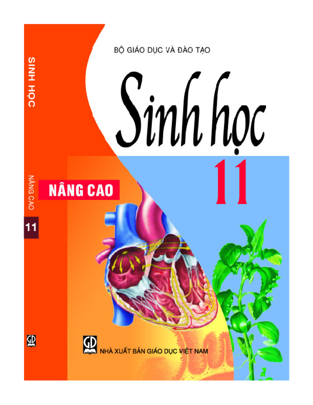 Download Sinh học 11