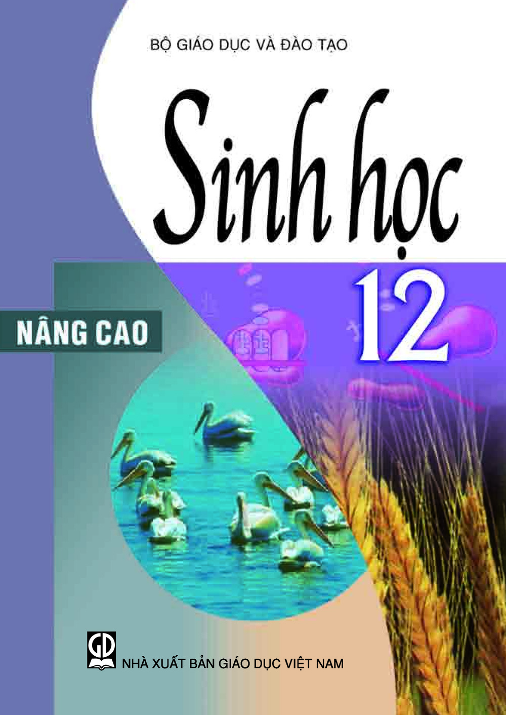 Download Sinh học 12 nâng cao